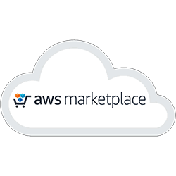 AWS Marketplace Icon