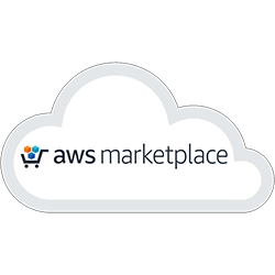 AWS Marketplace Icon